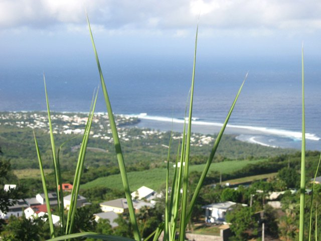 L’Étang Salé les Bains