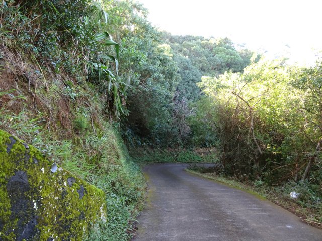 Entre talus et hautes cannes fourragères, la route est calme