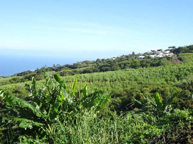 Le village de la Chapelle derrière les bananiers