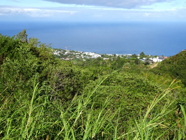 Nouvelles vues sur les Avirons