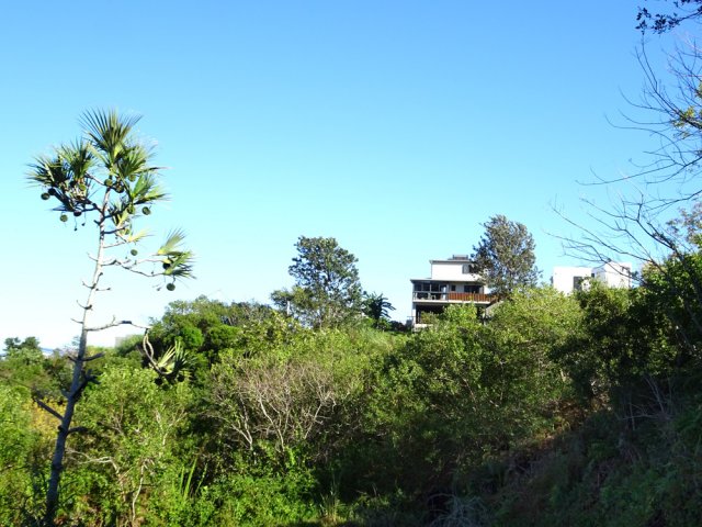 Quelques habitations esseulées dépassent de la végétation