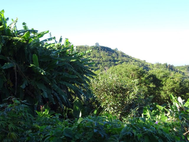 On s'approche rapidement du Piton Rouge