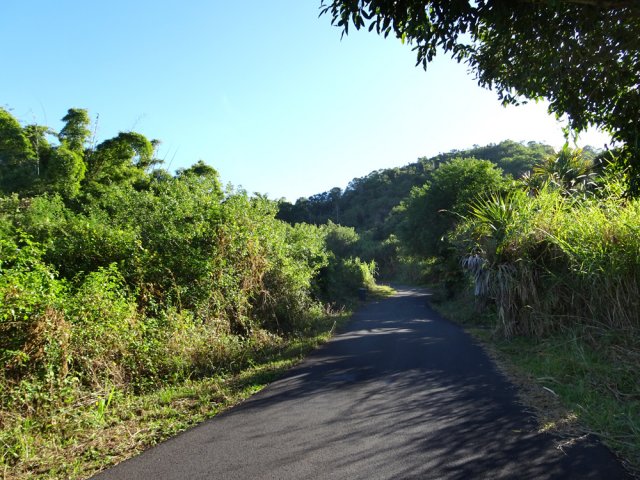 Le Chemin Mélina au pied du Piton Rouge