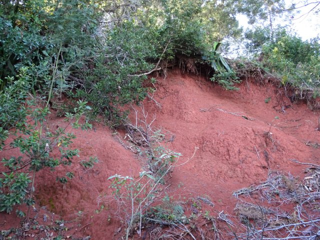 Quelques pans de falaise indiquent pourquoi le piton est rouge