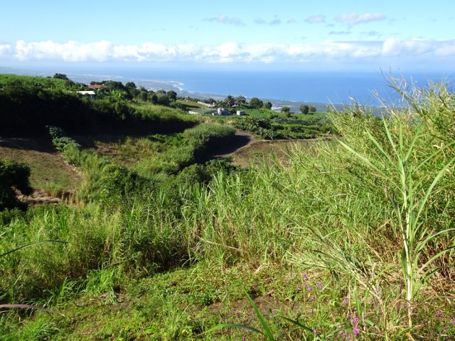Le petite route du Piton la Mare