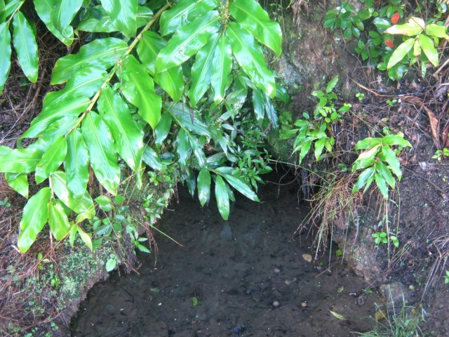 Une source en bordure de route. Eviter de boire