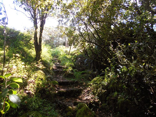 Les derniers mètres rejoignent la route par quelques marches