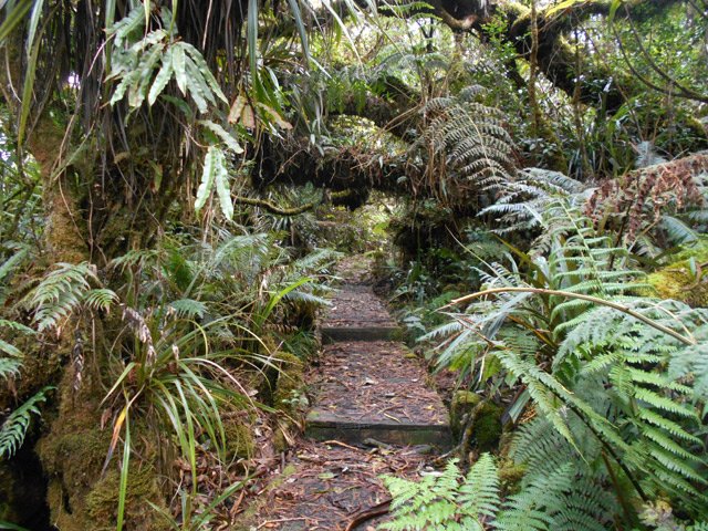 Le sentier, à l'approche de la route, est isolé de la boue