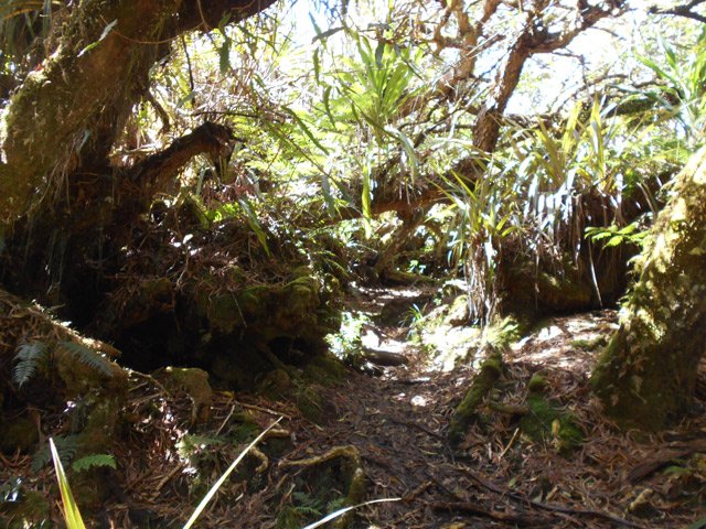Abords classiques du sentier sur les kilomètres à venir