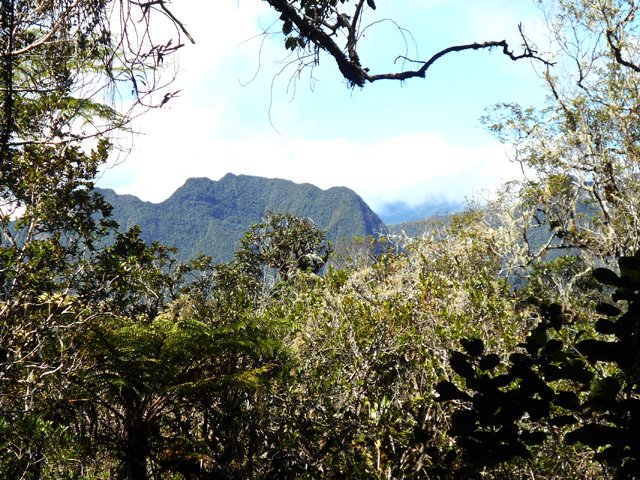 Panorama dans une rare trouée