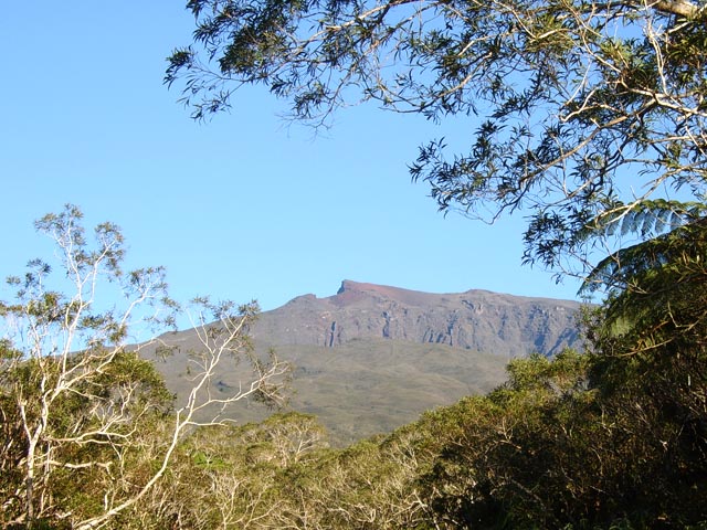Quelques trouées dans la végétation permettent d'apercevoir le Piton des Neiges