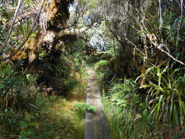 Nouveau plancher en direction du Piton Plaine des Fougères