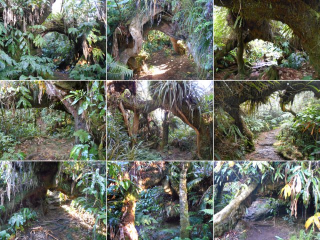 Quelques ponts parmi les nombreux rencontrés durant la boucle