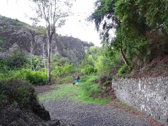 Départ de l'ancien sentier vers la Cascade du Bras Rouge