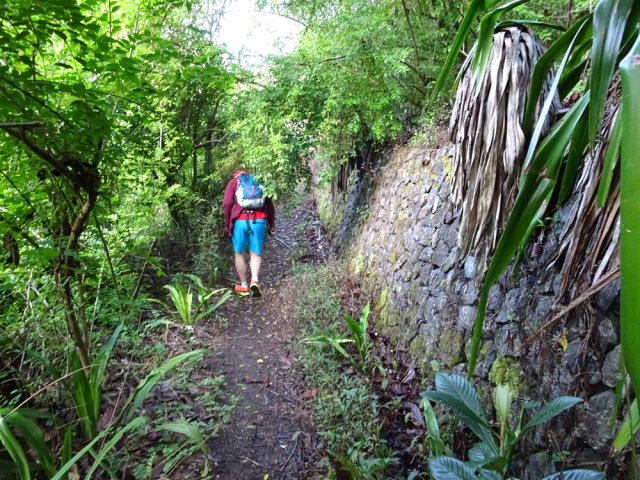 Beaux vestiges de plus en plus envahis