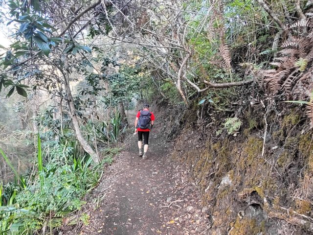 Une autre, plus terreuse et plate