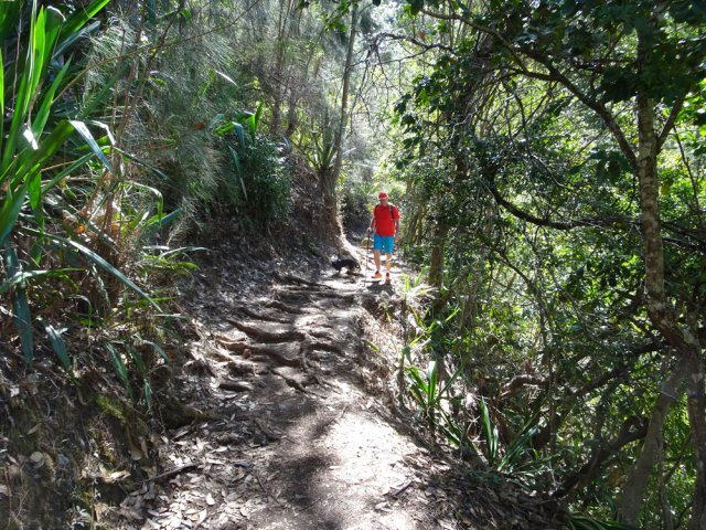 Le large sentier, bien entretenu, se pratique sans effort