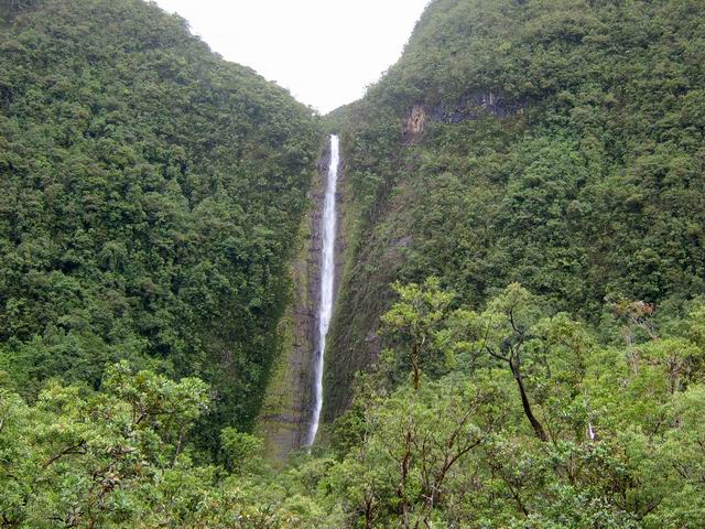 Sur la route de Takamaka, la cascade de la Grande Ravine