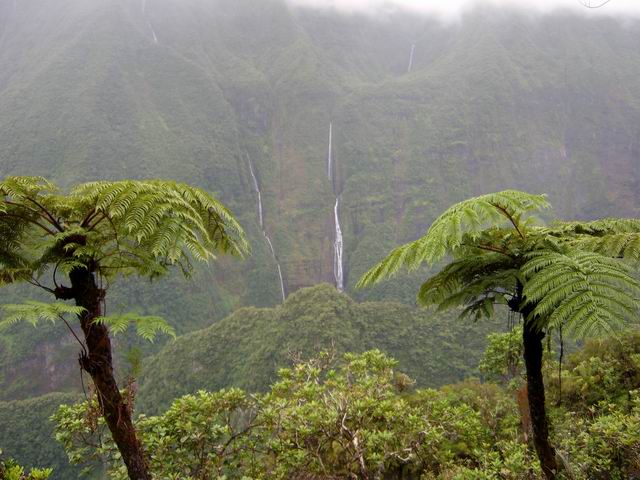 Du sentier, on aperçoit bien les nombreuses cascades de Takamaka