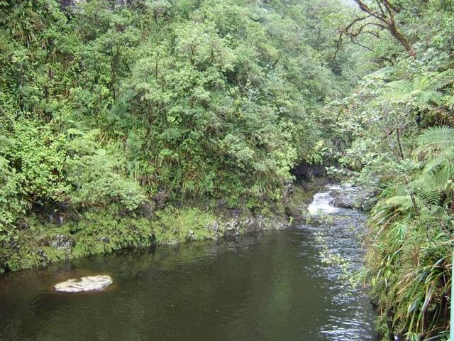 Le Bras Patience, terminus de cette randonnée