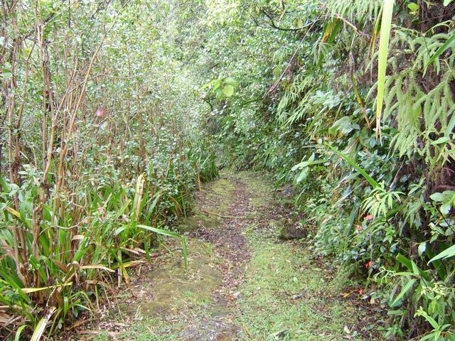 Le sentier dans ses rares parties plates