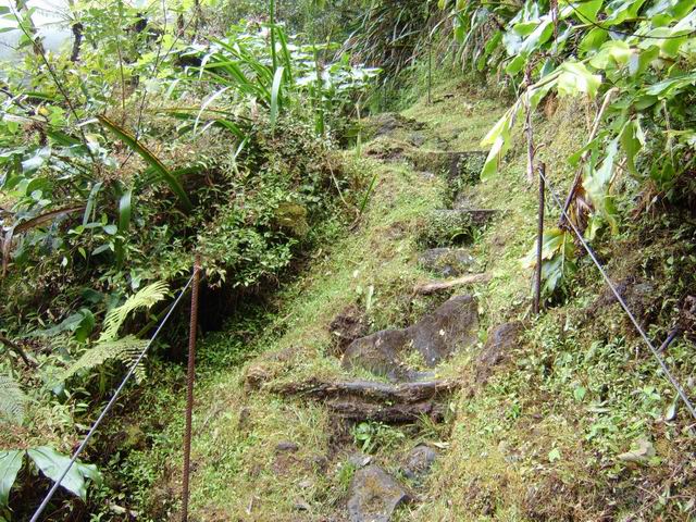Le sentier dans ses parties les plus classiques