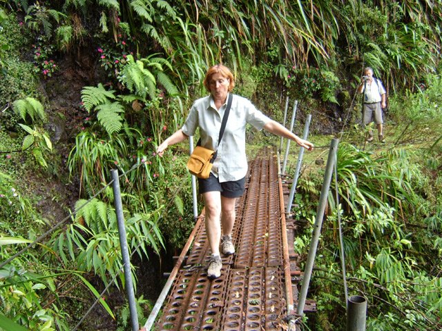 Siffler est bien la meilleure solution quand on a le vertige sur une passerelle