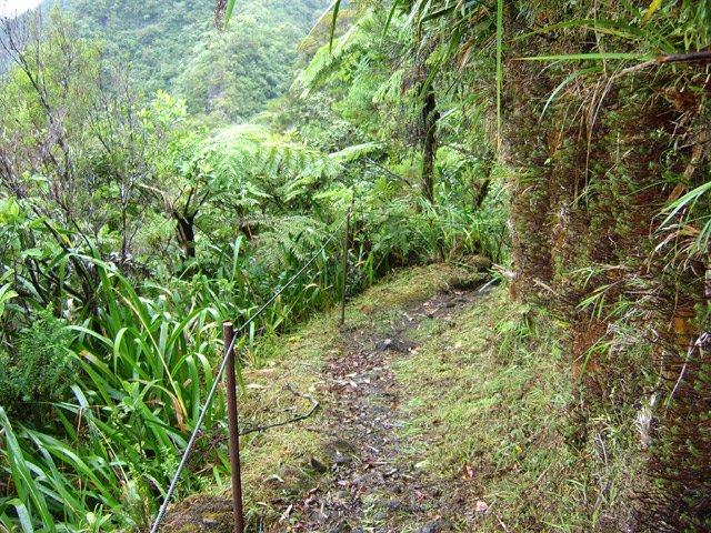 Ils rassurent d'autant plus au retour quand le sentier descend