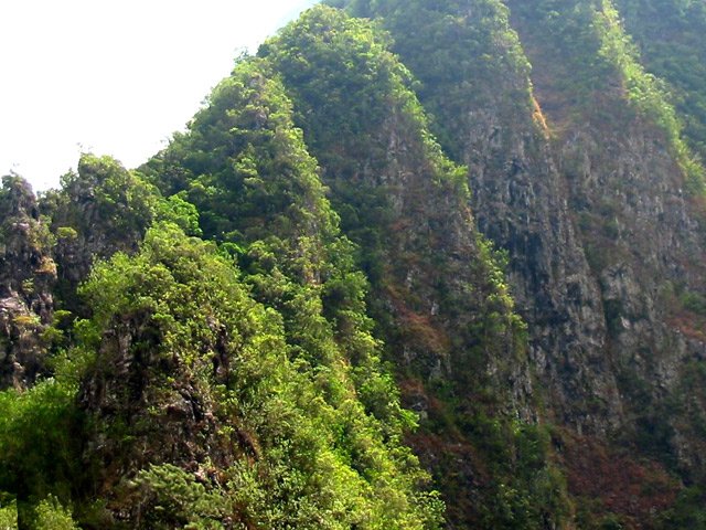 Détail d'une falaise abrupte et sensible aux éboulis