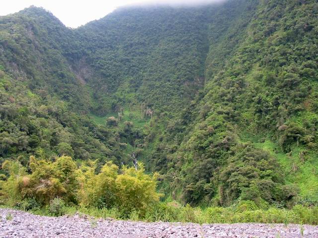 Les sources ont permis la culture du cresson derrière les bambous