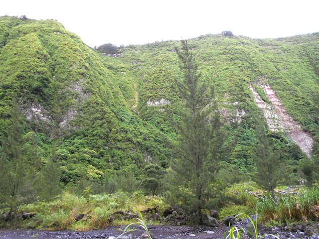 Les filaos qui servent de repère pour remonter à Jean Petit