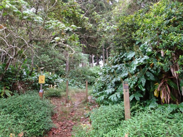 Le début du sentier, très facile à trouver à 200 m du rond-point
