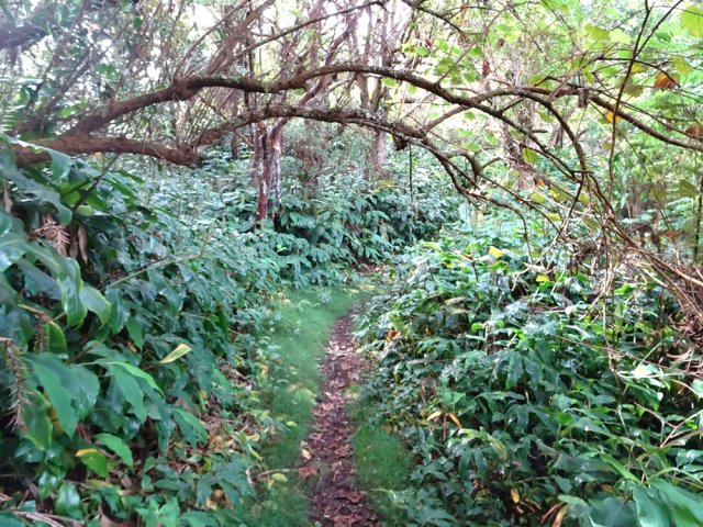 Paysage classique de la balade sur le sentier de Cambour