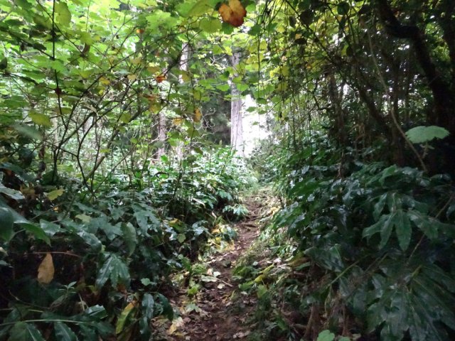 Les 50 premiers mètres font craindre le pire