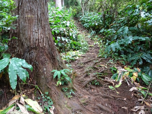 La suite montrera qu'il n'en est rien