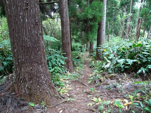 Une idée de la pente, régulière, forte mais pas insurmontable