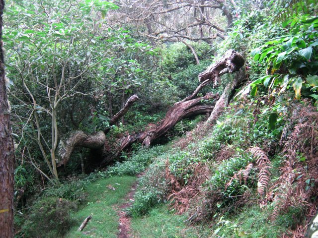 Plus haut, le terrain s'assagit, mais sur une courte distance