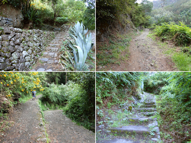 Le sentier des Porteurs (ou ses raccourcis) finit à la route près du pont sur le Bras des Etangs