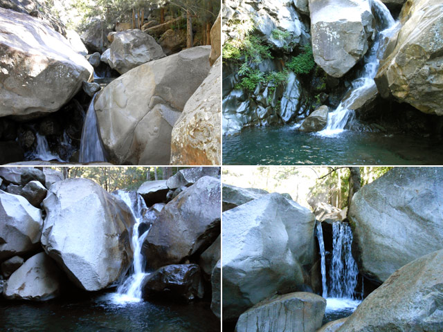 On en rencontre une quinzaine lors de la montée