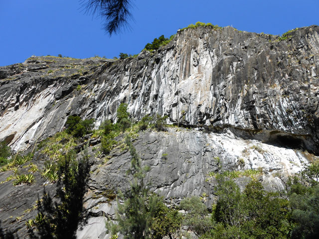 Le Pain de Sucre à travers les trouées de filaos. Bientôt le fond du cirque