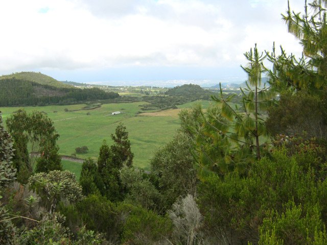 On devine la côte océanique à travers le brouillard