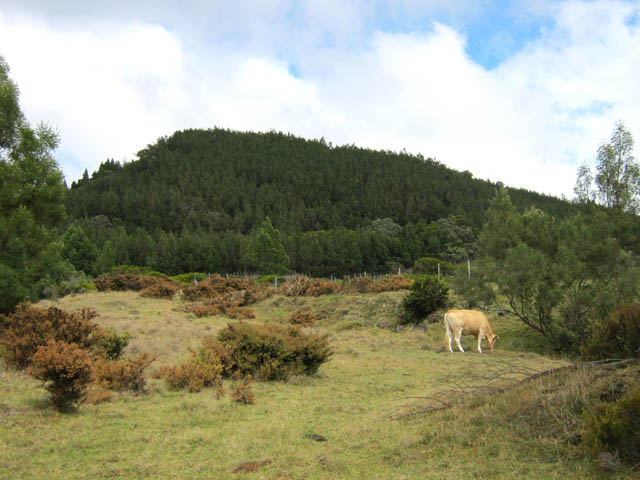 Le départ de la piste qui contourne le piton longe également des prairies