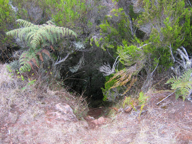 Le départ du sentier qui descend à pic vers le pied du piton