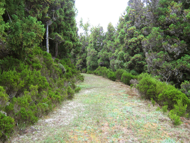 La deuxième piste qu'on coupe dans la descente