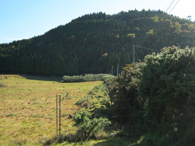Le piton Dugain depuis le croisement des routes du Volcan