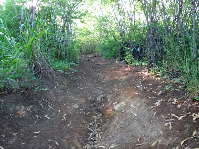 Ne pas manquer le sentier menant à l'abri