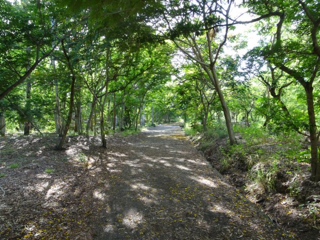 Une des trois pistes menant au parc animalier