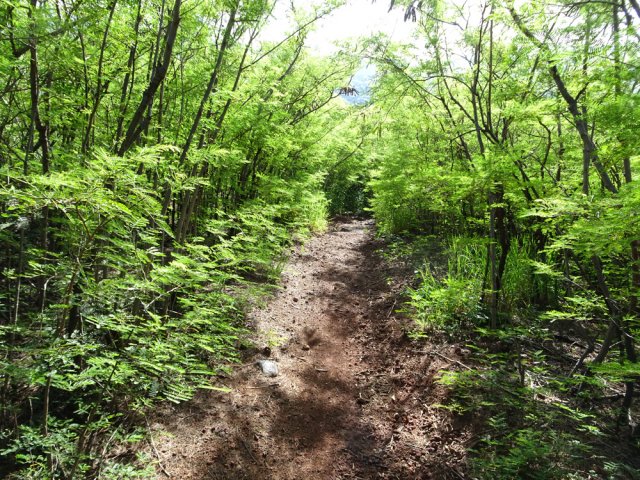 Nouveau sentier pour rejoindre le Gros Piton