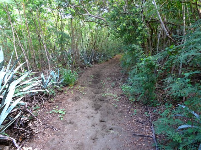 Suivre le sentier équestre ou les deux pistes qui lui sont parallèles