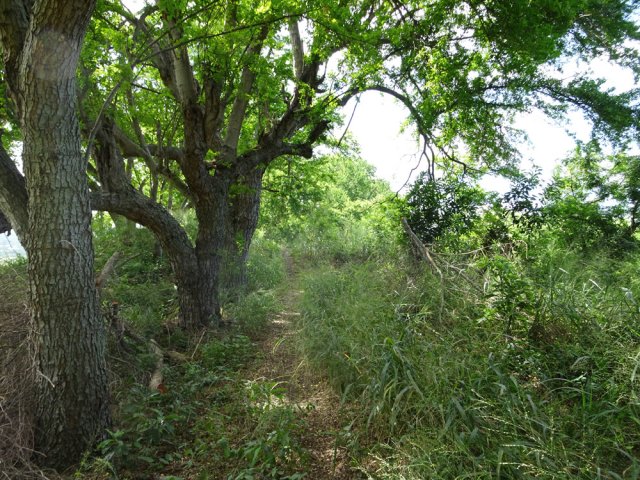 Le sentier tortueux longeant la piste à quelques mètres